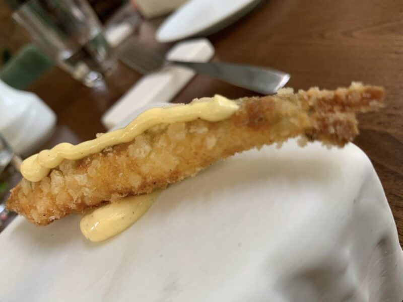 Suscettibile Salerno, il benvenuto