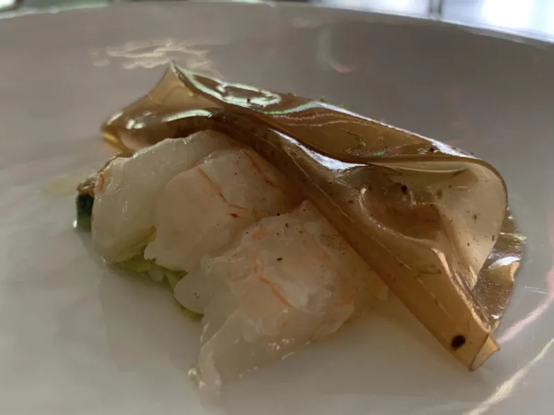 Suscettibile Salerno, cocktail di scamBi, dettaglio