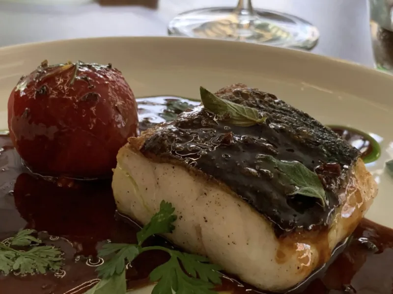 Suscettibile Salerno, spigola mediterranea col suo fondo