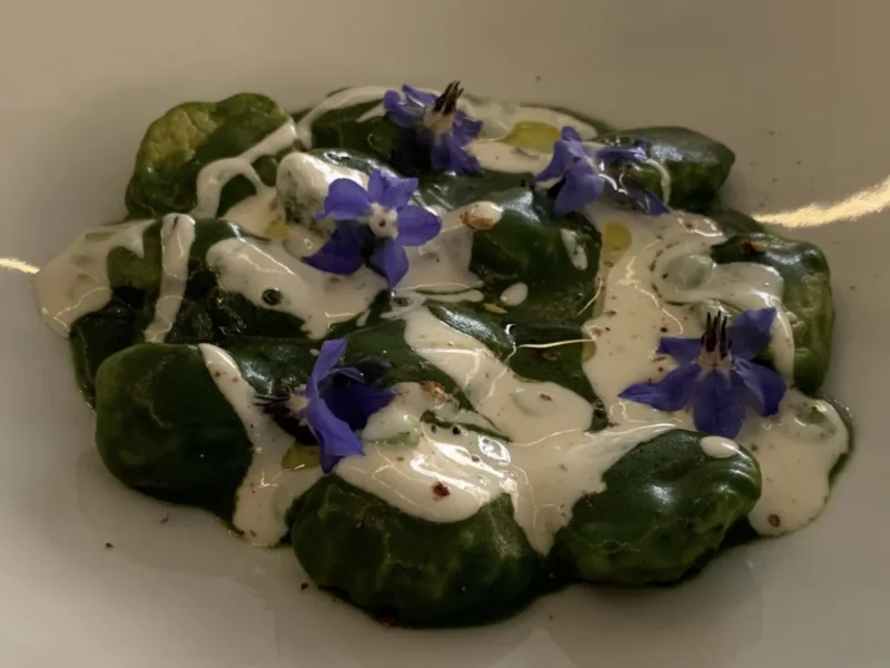 Suscettibile Salerno, gnocchi con crema di borragine e robiola di capra cilentana