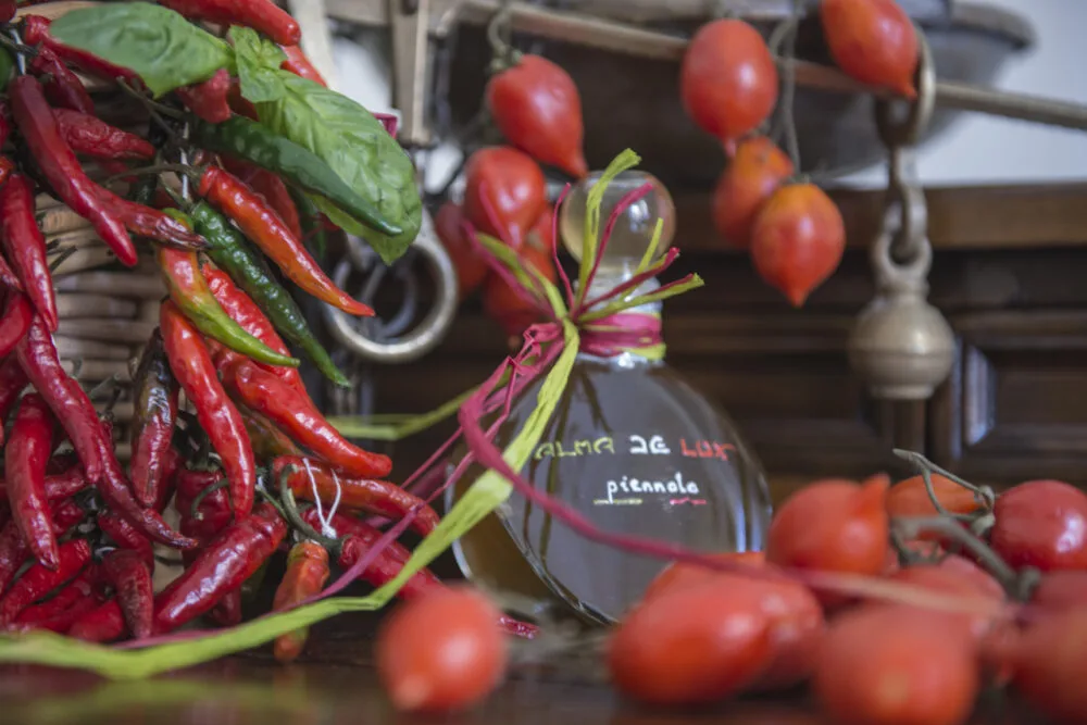 Alma De Lux Piennolo