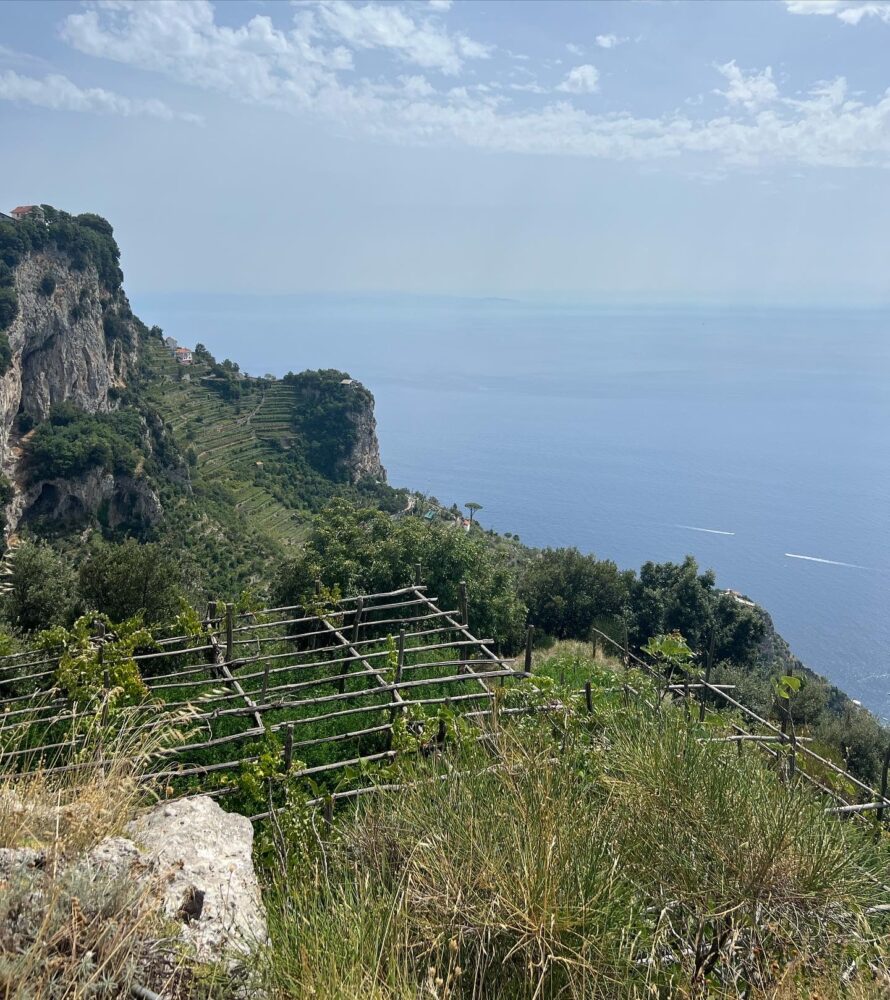 Campania Stories - Vigne Marisa Cuomo