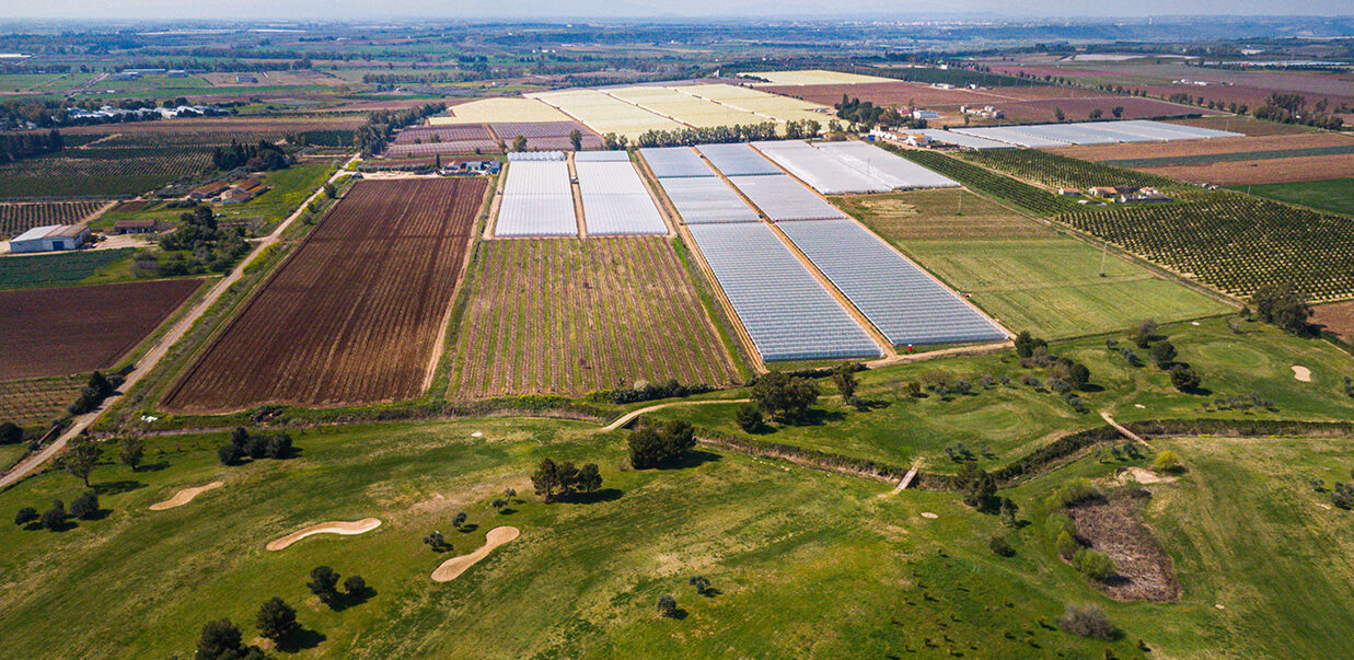 Azienda Agricola Unifruit Condoluci 1960