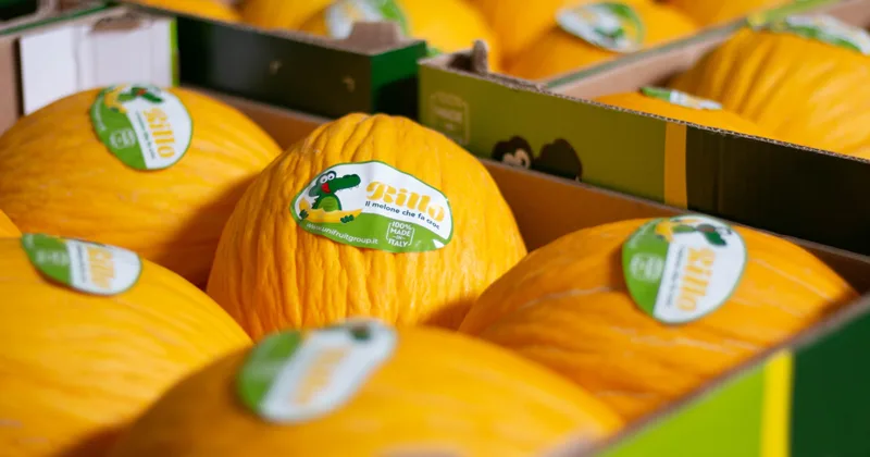 Azienda Agricola Unifruit Condoluci 1960 - Melone Giallo