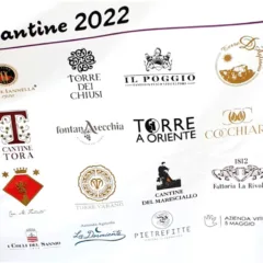 Le Cantine 2022