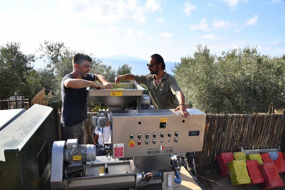 Olio Oro di Capri - Macchinari eco