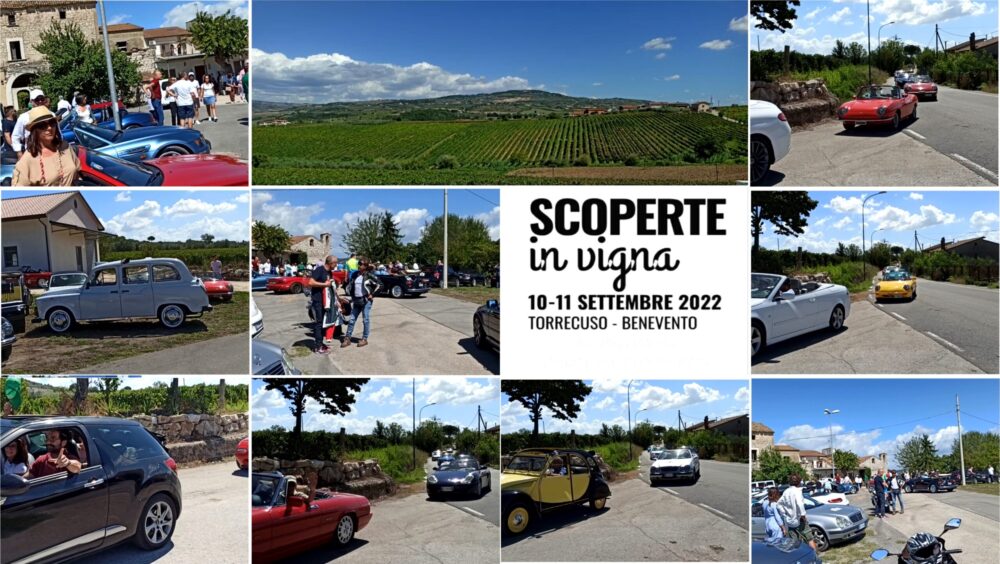 Scoperte in Vigna 2022 a Torrepalazzo