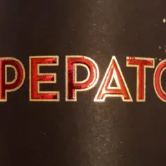 Serrapetrona Doc 2020 Pepato, Fontezoppa