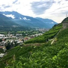 Sondrio visto da Montagna in Valtellina
