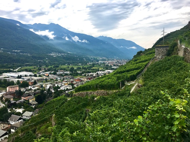 Sondrio visto da Montagna in Valtellina