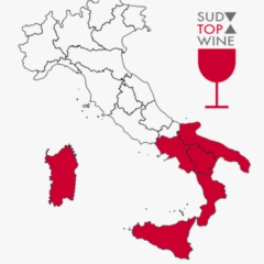 Sud Top Wine