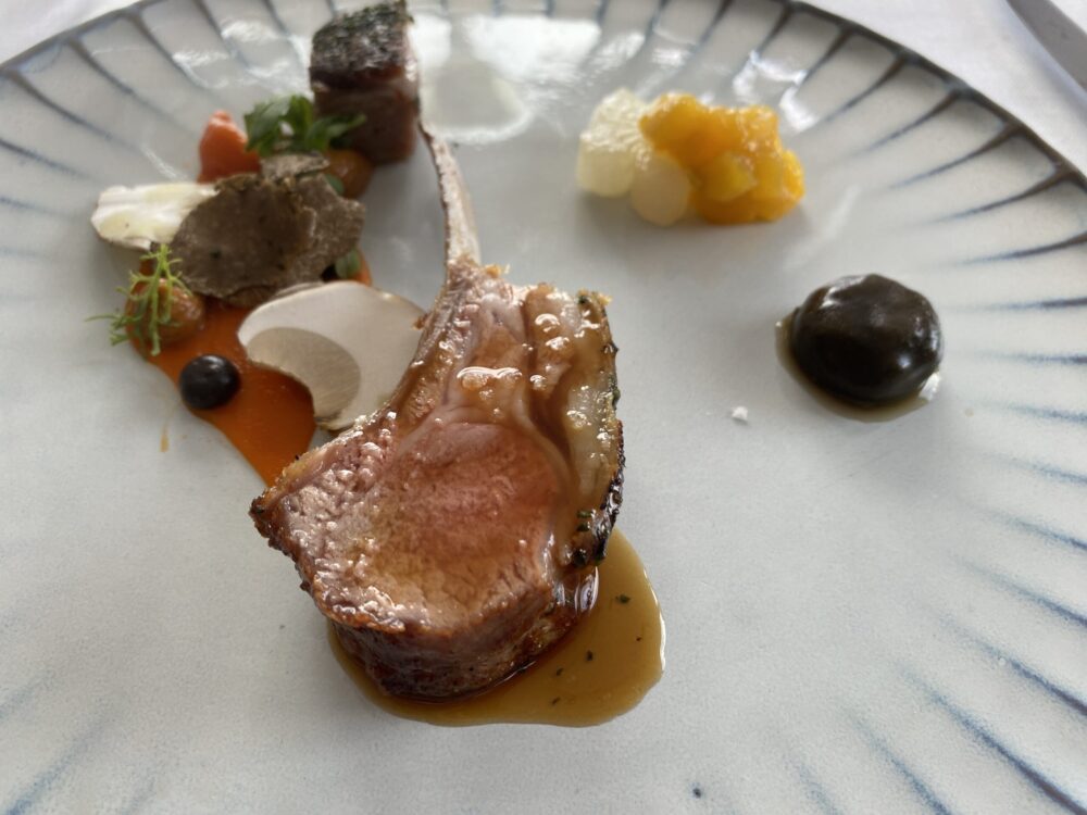 Torre del Saracino - agnello laticauda