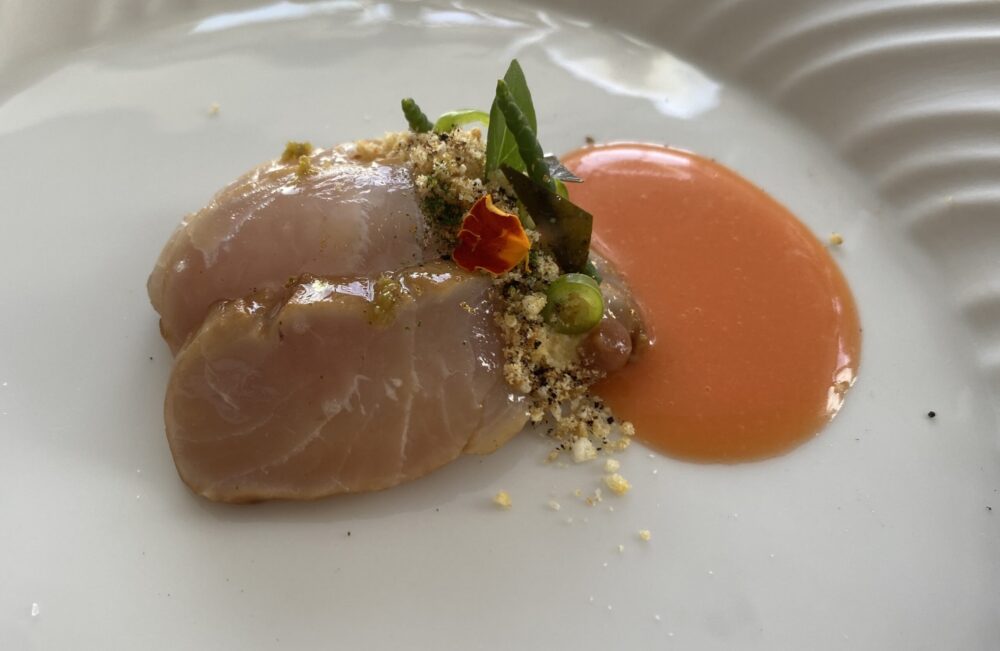 Torre del Saracino - ricciola marinata, hummus, mais tostato, pomodoro cuore di bue