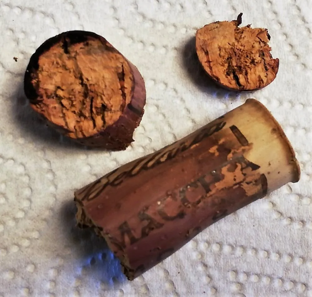 Provincia di Pavia Igt La Macchia 1998 – Bellaria