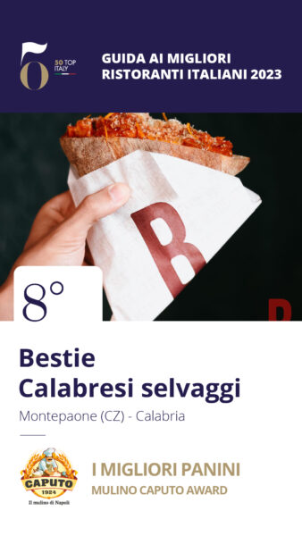 8 - Bestie Calabresi selvaggi - Montepaone (CZ), Calabria