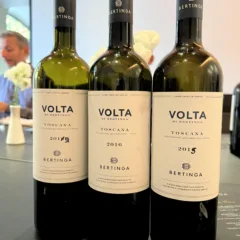 Bertinga - Volta di Bertinga