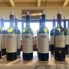 Vini Tenuta di Arceno
