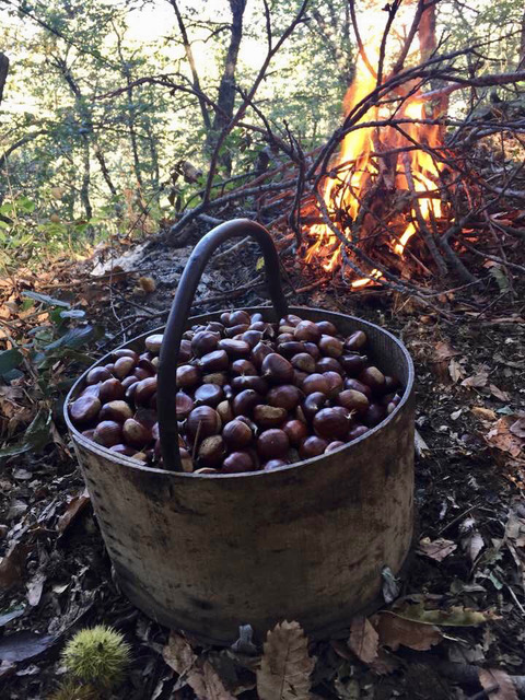 Fasuli e pistiddi- la raccolta delle castagne