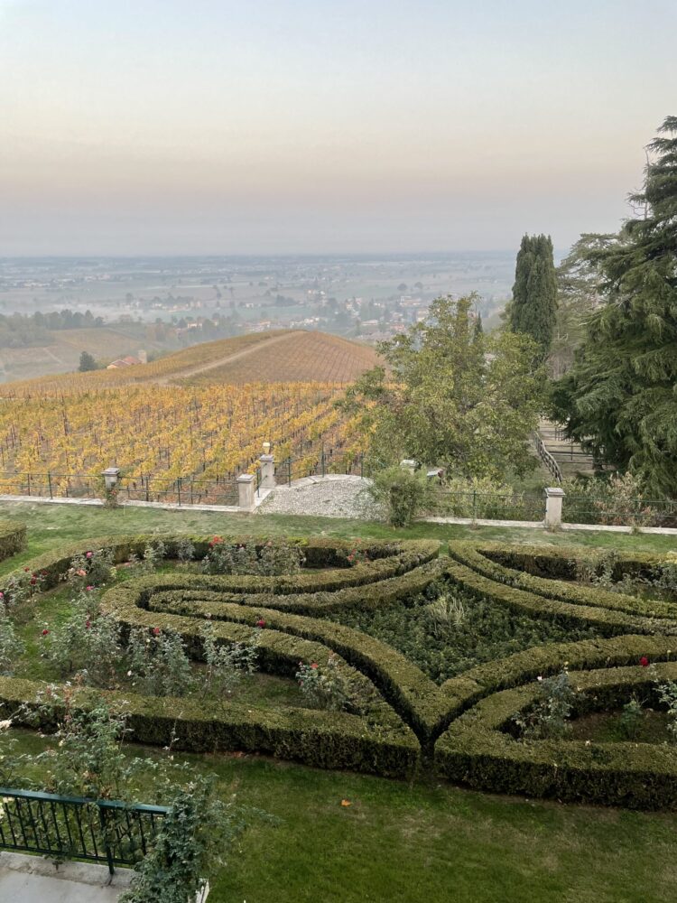 Giardino e vigneti di Tenuta Mazzolino