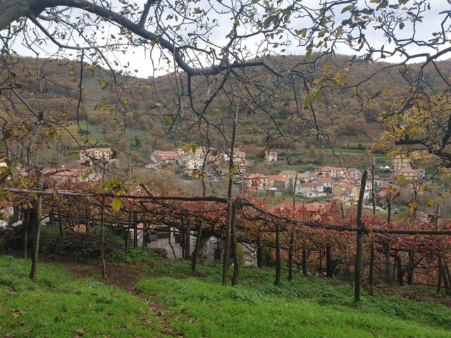 La Tramontina- Veduta di Tramonti