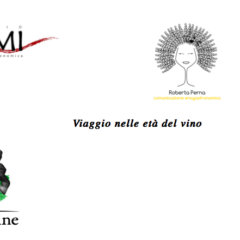 Life of Wine XI edizione