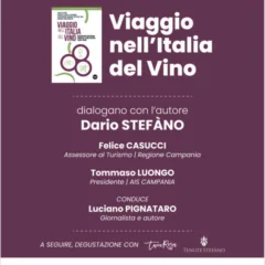 Viaggio nell’Italia del vino