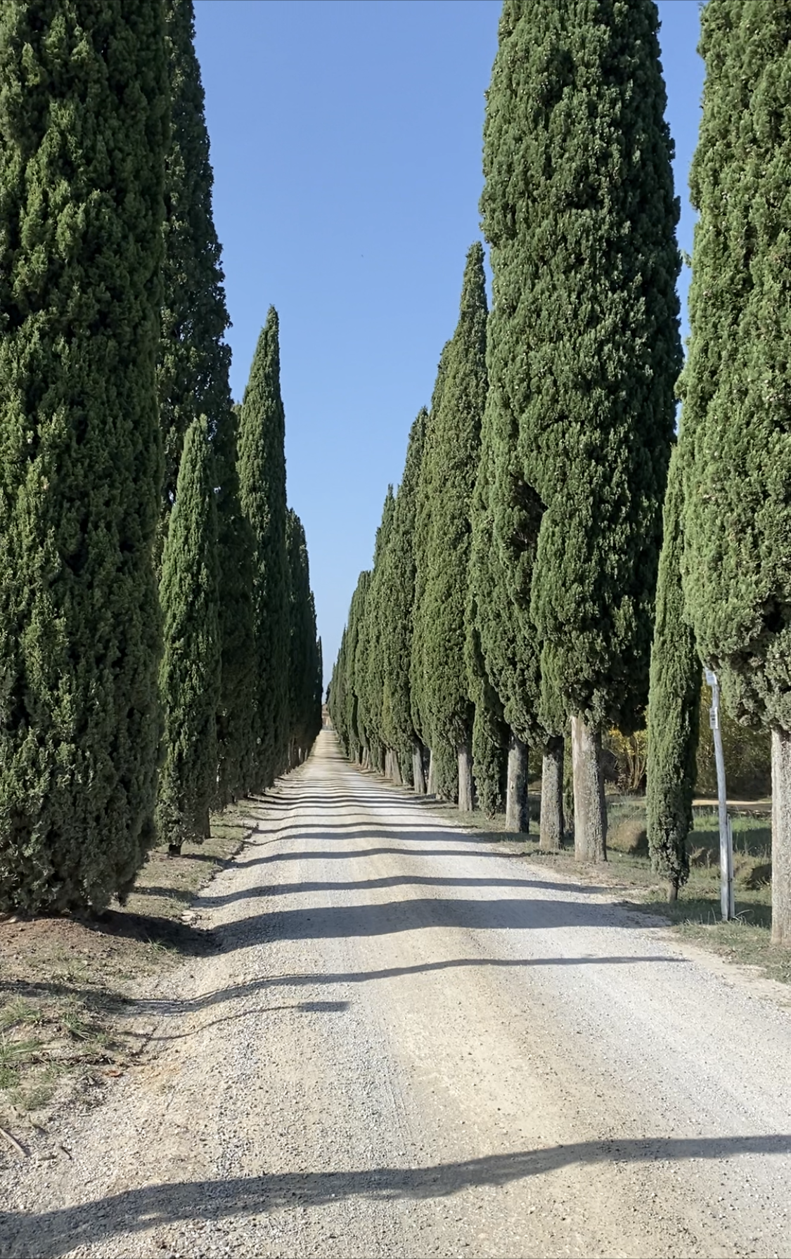 Viale dei Cipressi