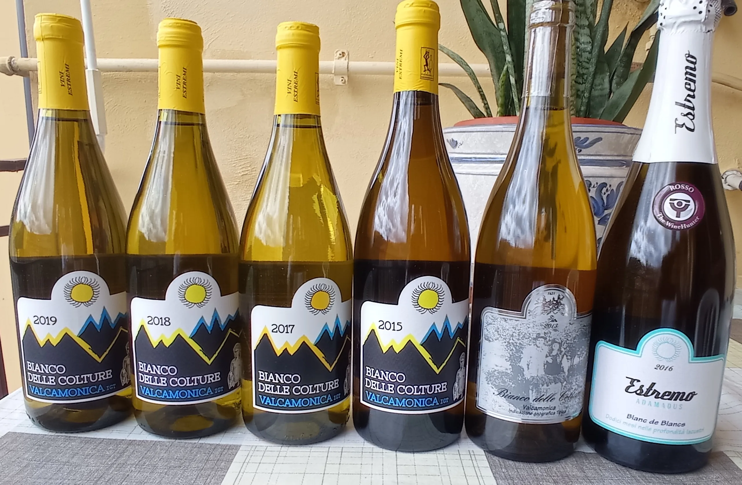 Vini Agricola Vallecamonica