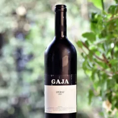 Barolo Sperss 1993 Gaja