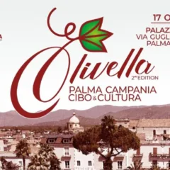 olivella