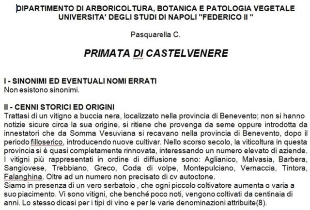 Primata di Castelvenere