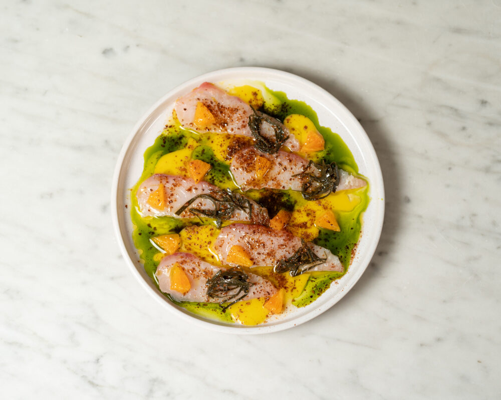 Angiò – Ricciola (FREEJUNGLE)