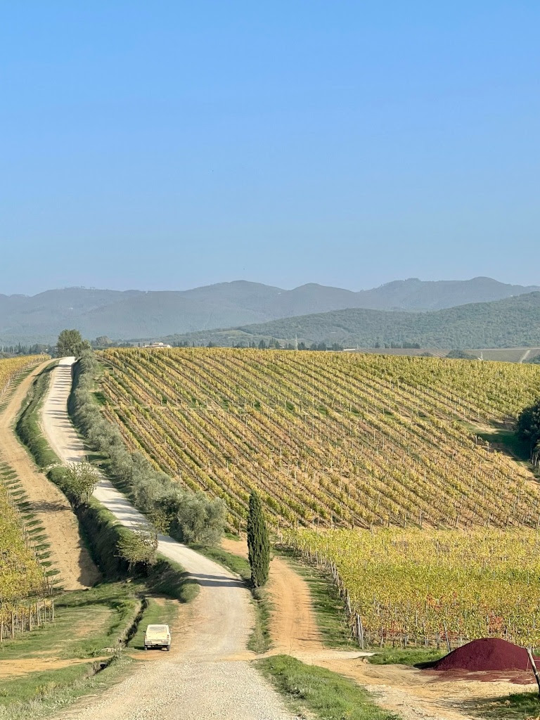 30 annate del Chianti Classico Riserva Novecento