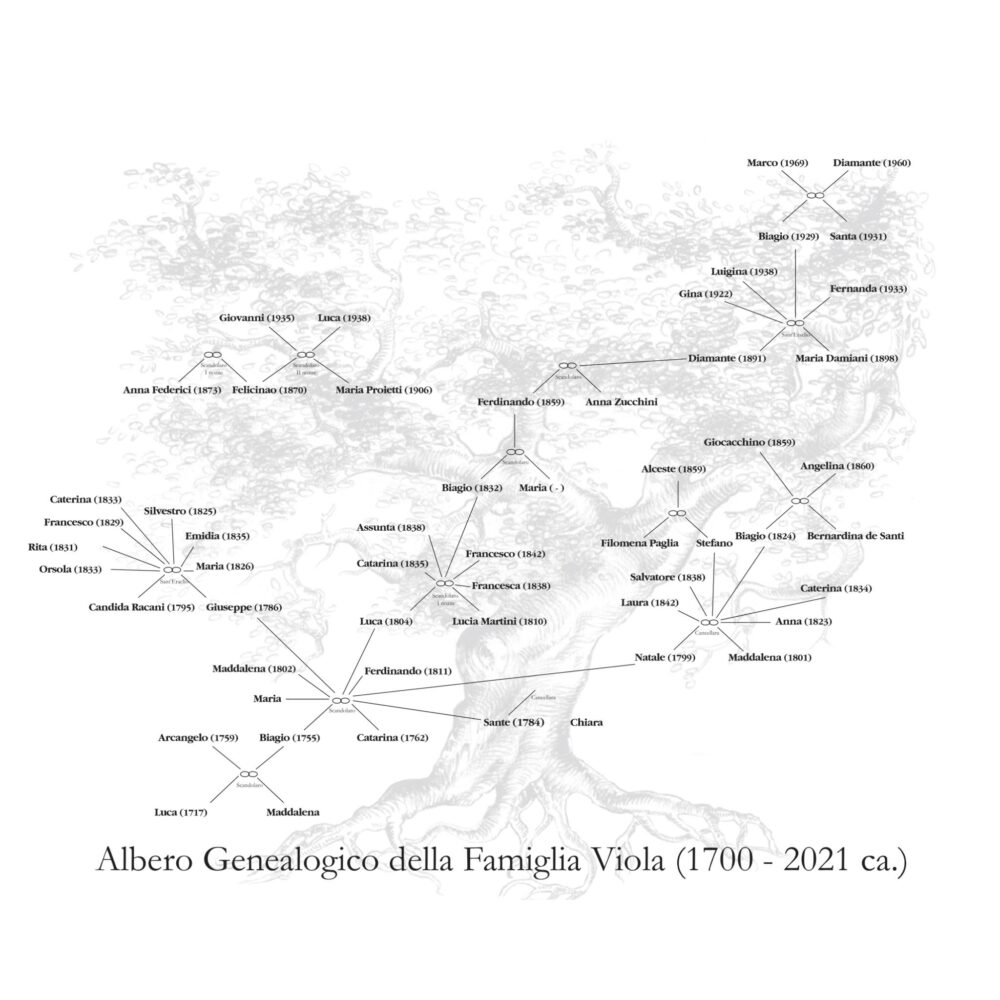 Albero genealogico famiglia Viola