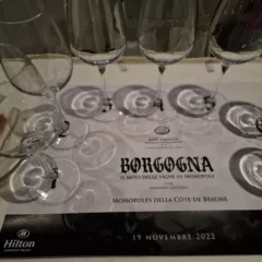 Borgogna, il mito delle vigne in monopole