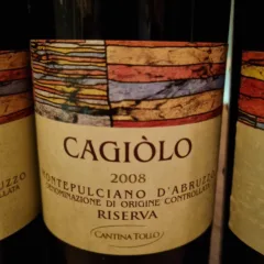 Cagiolo 2008