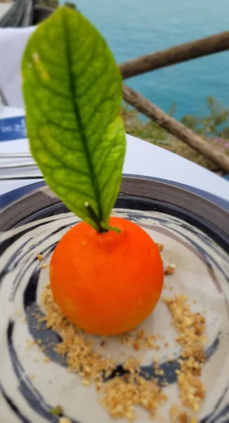 Mousse al mandarino