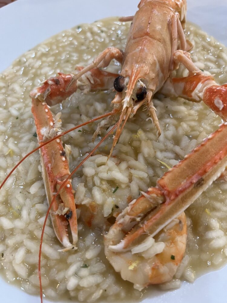 Hortus - risotto di mare