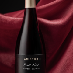 Presentazione del Pinot Noir Aristos Valle Isarco