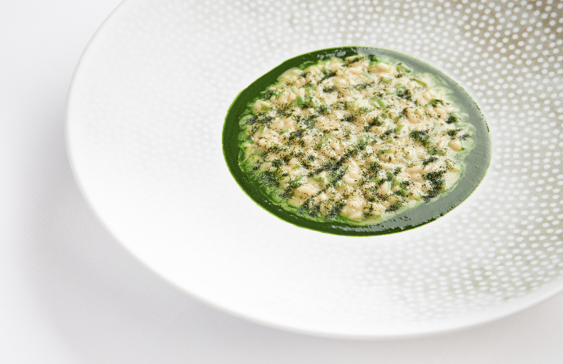 Riso-del-Chianti-cinghiale-e-cipressi