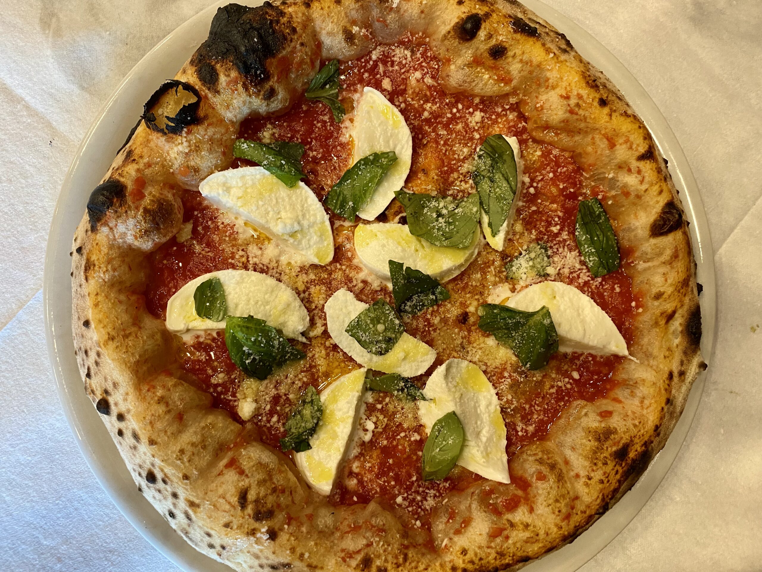 Verace-pomodoro-San-Marzano-dopalluscita-dal-forno-mozzarella-di-bufala-campana-dop-pecorino-romano-dop-basilico-olio-evo