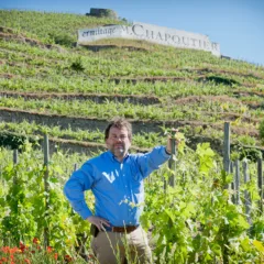 Michel Chapoutier - vignesermitage