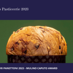 I Migliori Panettoni 2023 - Mulino Caputo Award