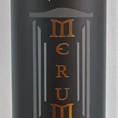 Barbera d’Asti Merum 2020 – Bellicoso Antonio