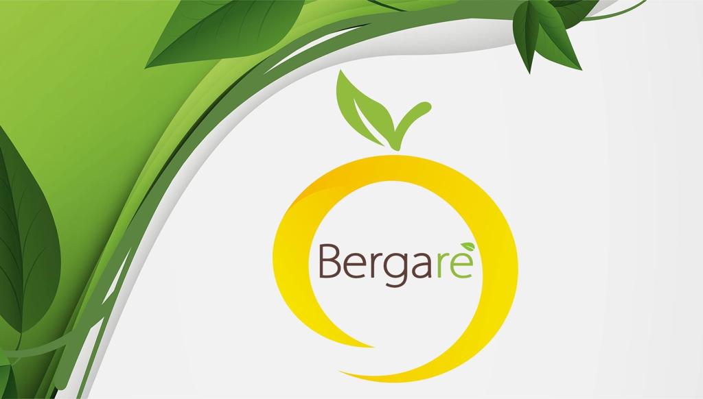 Bergare'