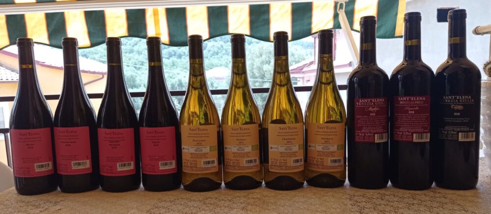 Controetichette vini Sant'Elena
