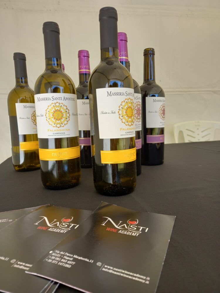 I vini offerti dalla Nasti Distribuzione
