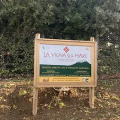 La Vigna sul mare