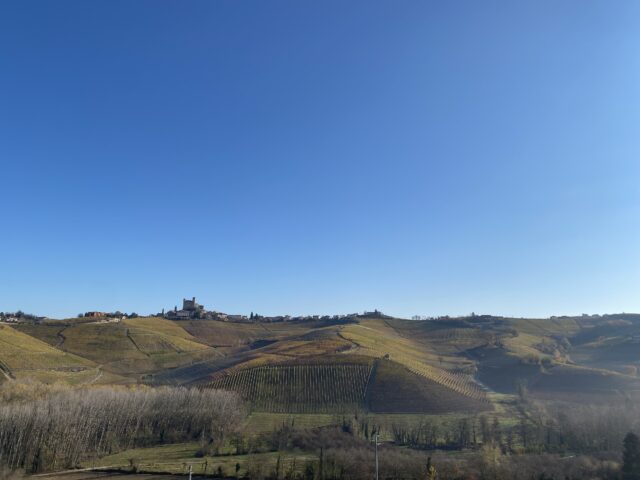 Panorama-dalla-cantina-Castello-di-Perno