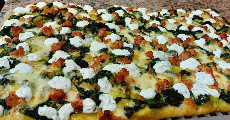 Terra Nostra di Vanessa Savi